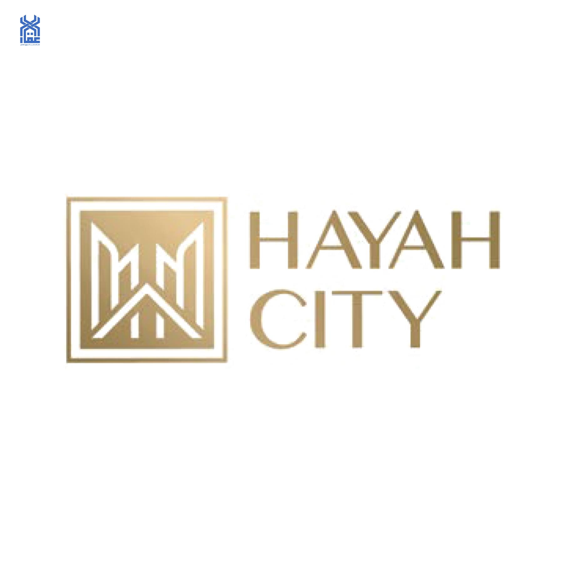حياة سيتي